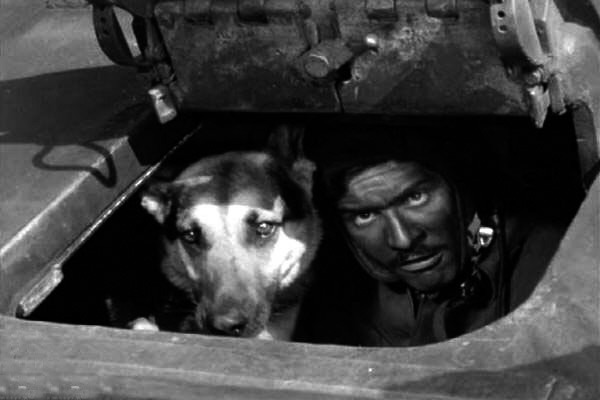 кадр из фильма Четыре танкиста и собака