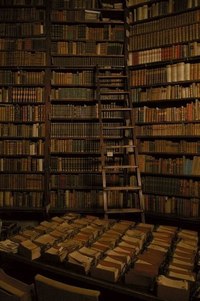 библиотечный каталог - большая библиотека
