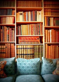 диван и много книжных полок