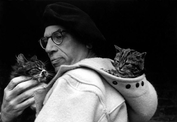 Пол Гэллико и его кошки