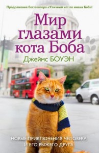 Джеймс Боуэн, Мир глазами кота Боба. Новые приключения человека и его рыжего друга, анонсы книг