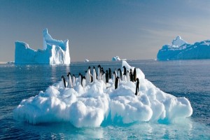10 лучших книг, книги об Антарктиде, что читать