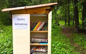 lesnaya-biblioteka-v-Permi