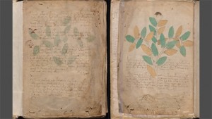 Pages from the Voynich Manuscript