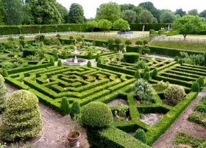 Tudor-Gardens-Hampton-court-5